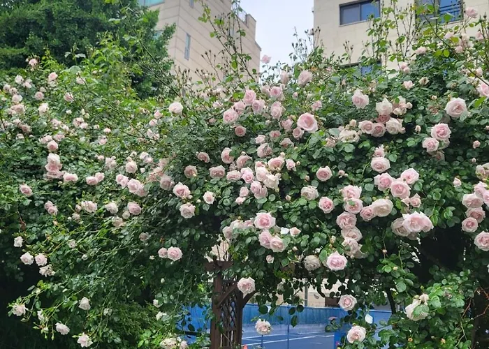 아파트 포렛 서울특별시