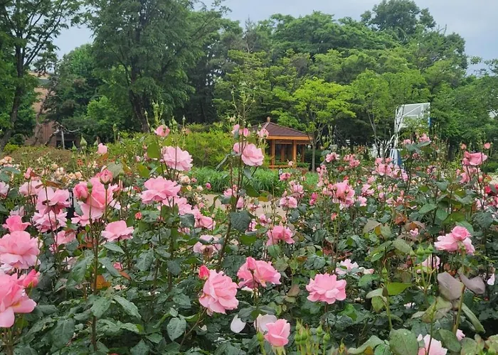 포렛 아파트 *