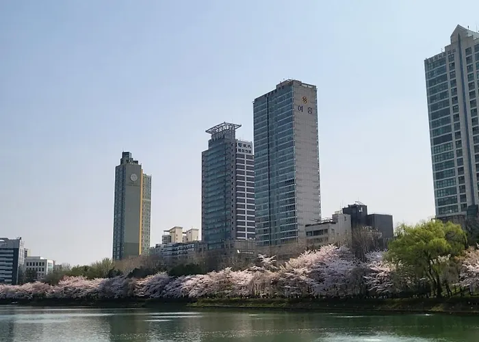 포렛 * 서울특별시